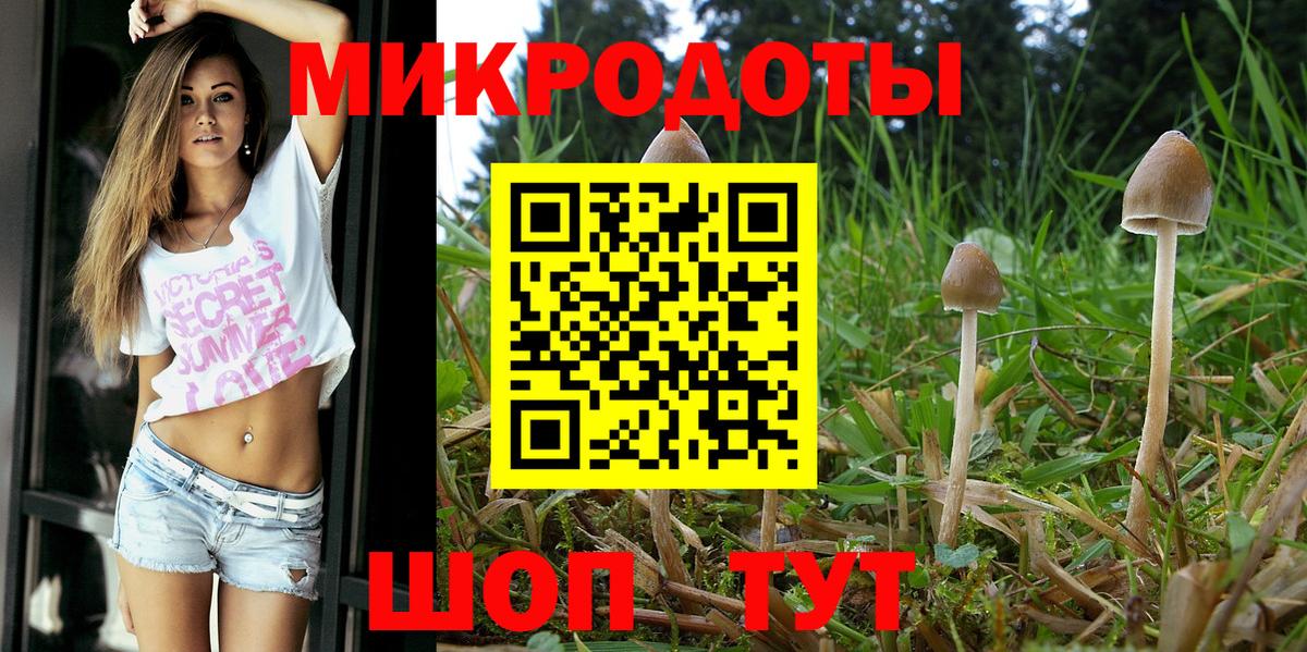 Соликамск  Псилоцибиновые грибы GOLDEN TEACHER  Вход с VPN 